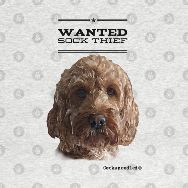 Cockapoo / Doodle Dog Sock Thief by WoofnDoodle 